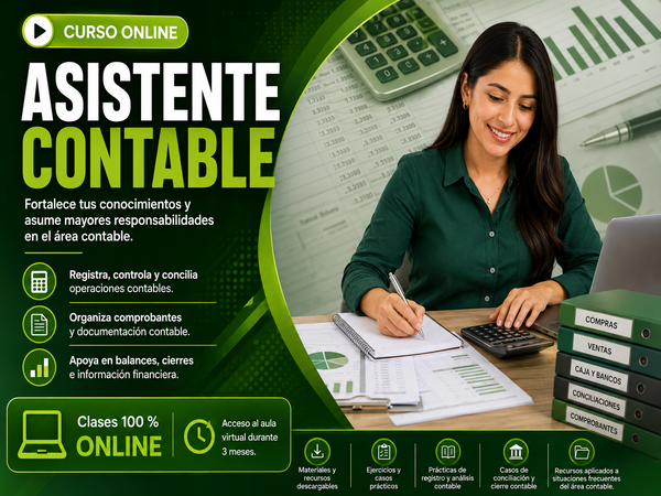Asistente Contable