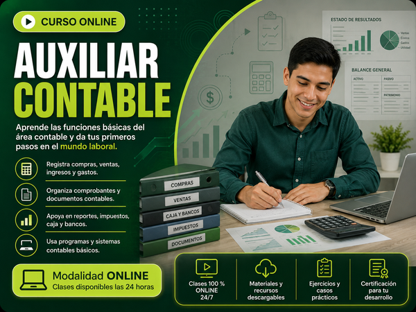 Auxiliar Contable